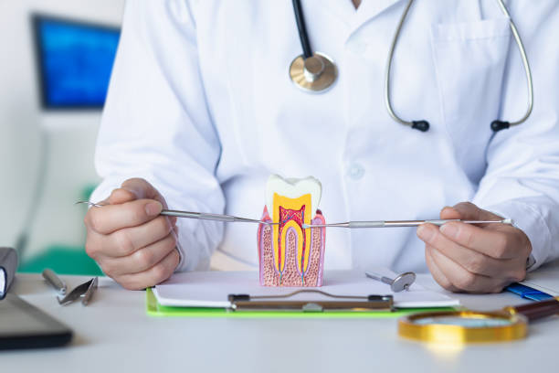 Best Emergency Root Canal Treatment in Woodbury, NY